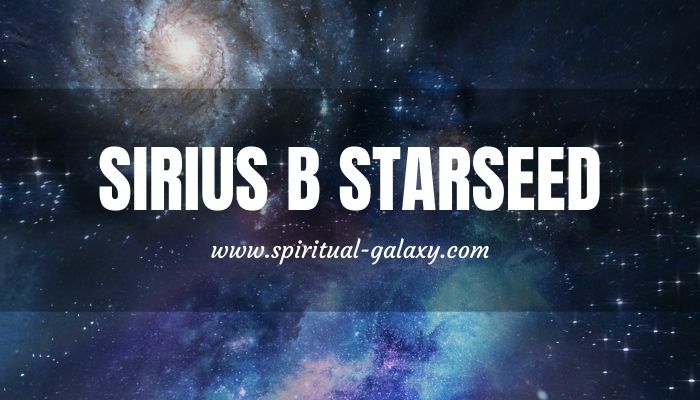 what is the astrological number for sirius
