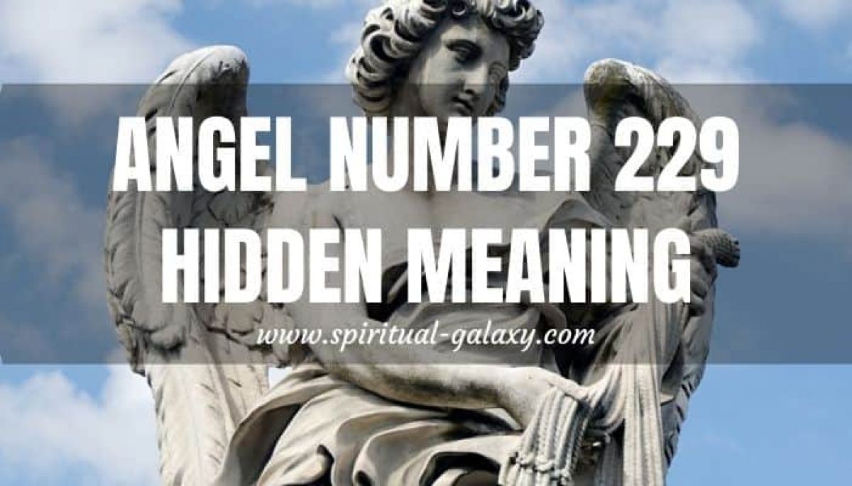 Angel Number 229 Hidden Meaning Spiritual Galaxy Com