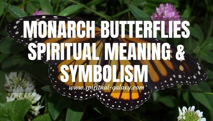 Monarch Butterflies Spiritual Meaning & Symbolism - Spiritual-Galaxy.com