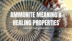 ammonite healing properties