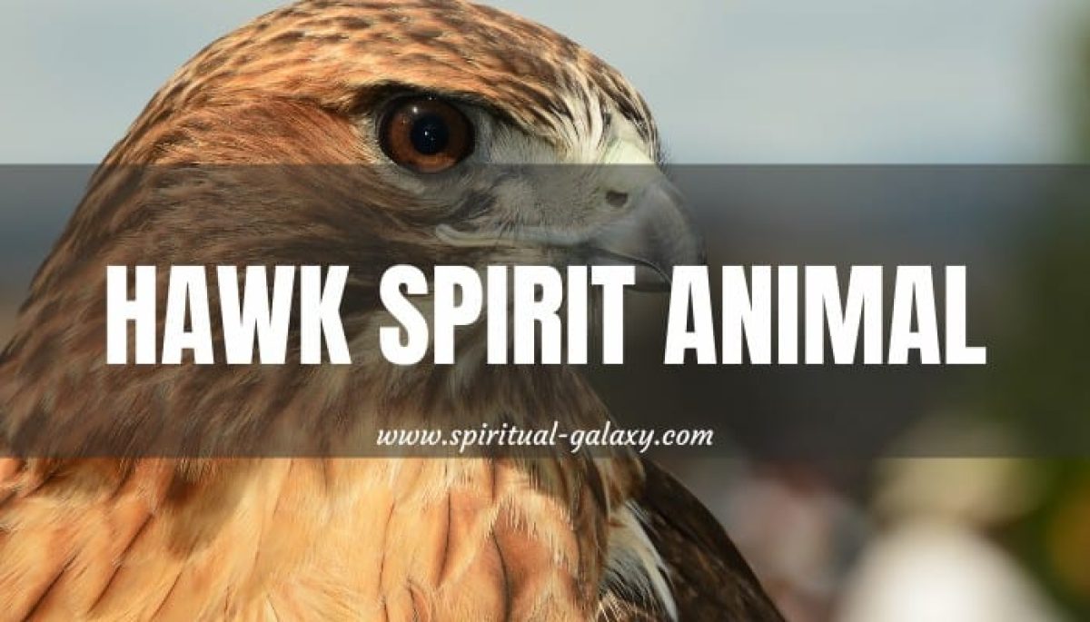 spirit animal meaning