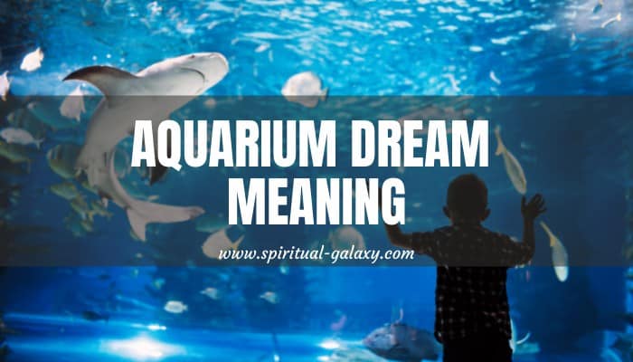 does dream aquarium stop working