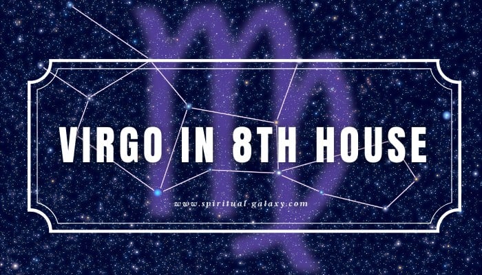 12 house virgo in astrology